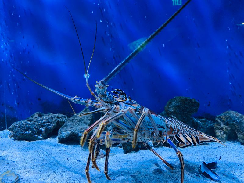 Michigan’s Ocean in the Heart of the Great Lakes
