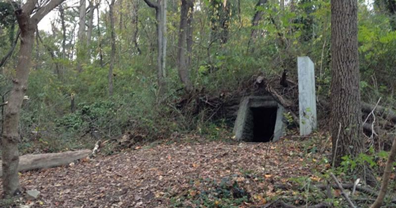 The Woman in the Wilderness