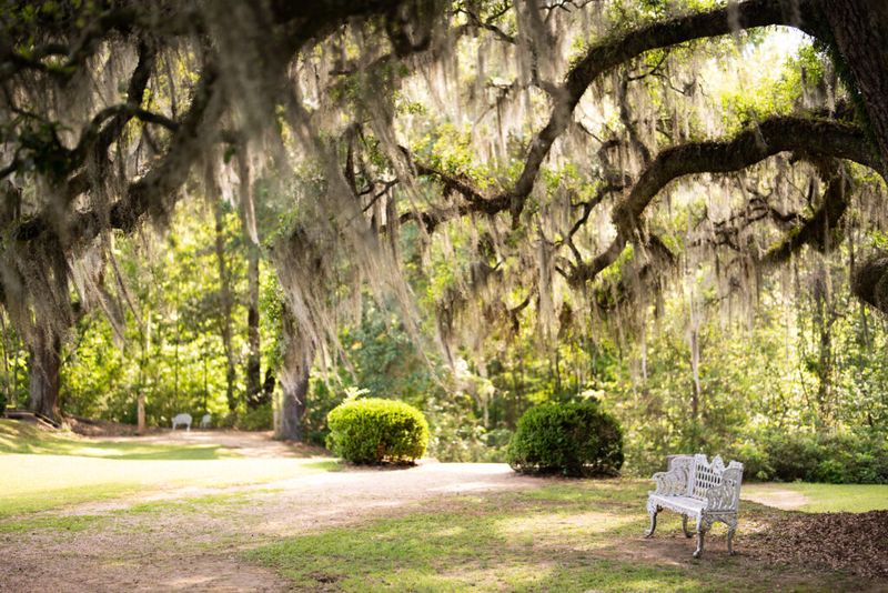 Where Beauty and Mystery Hold Hands