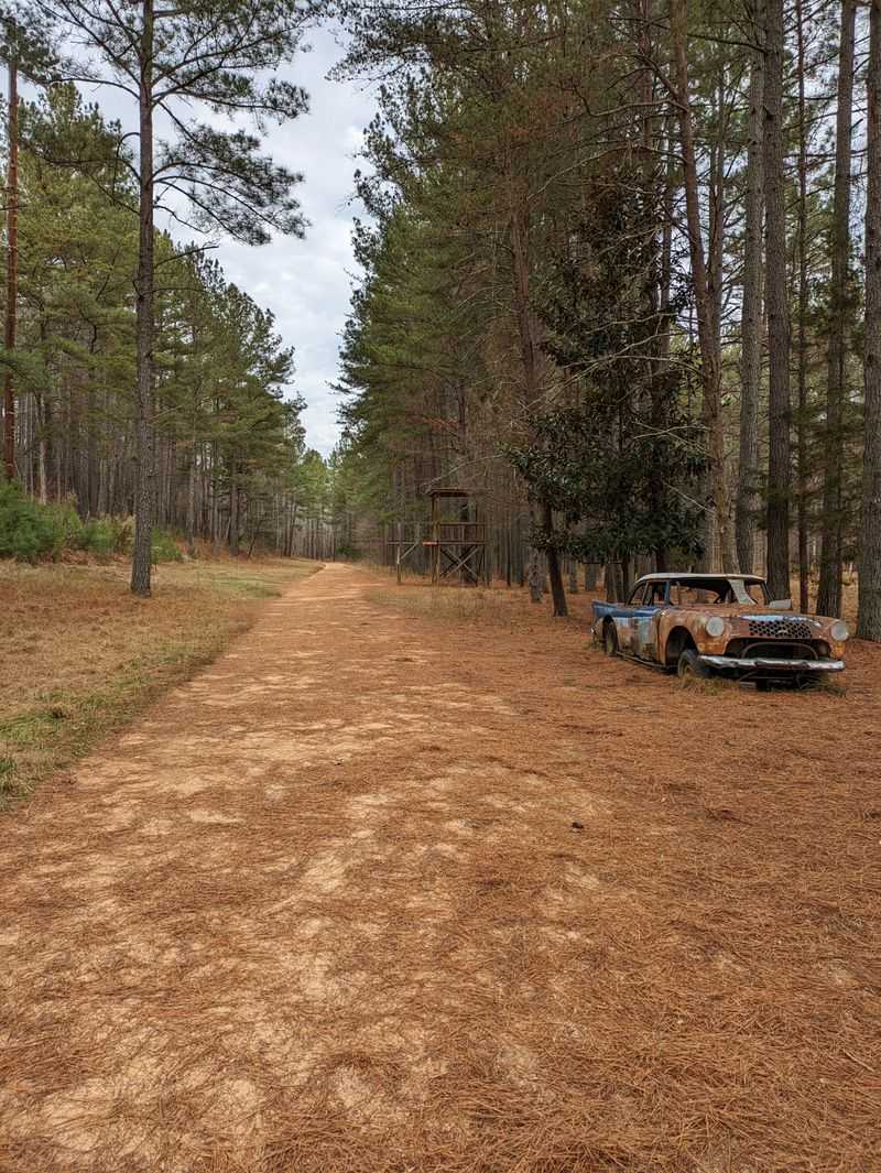 Creation of Walking and Hiking Trails