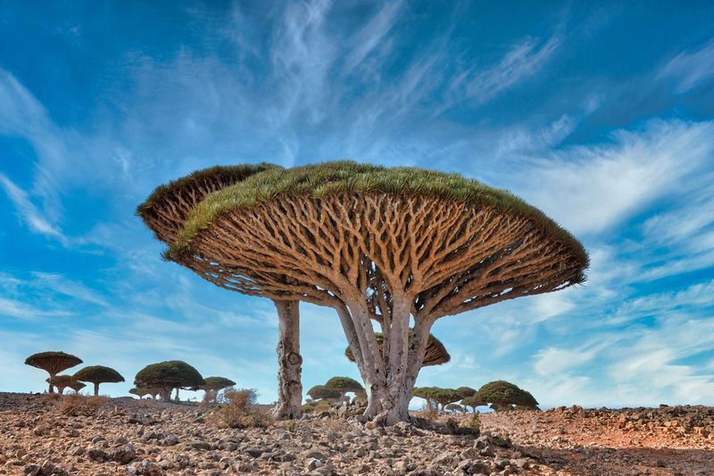 Socotra, Yemen
