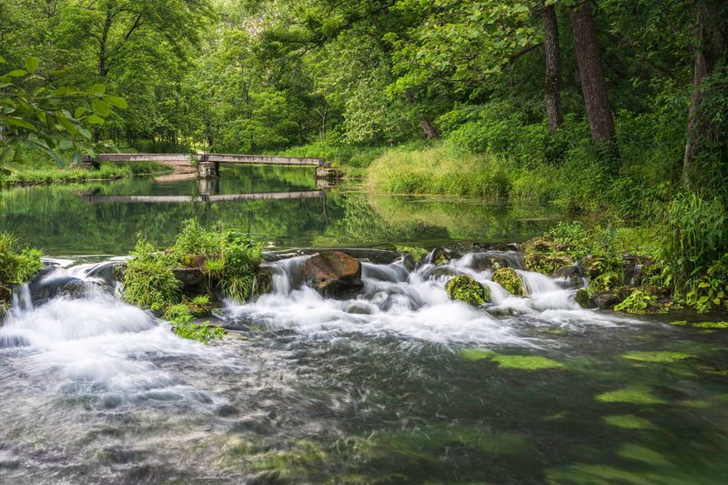 Free Entry Every Single Day