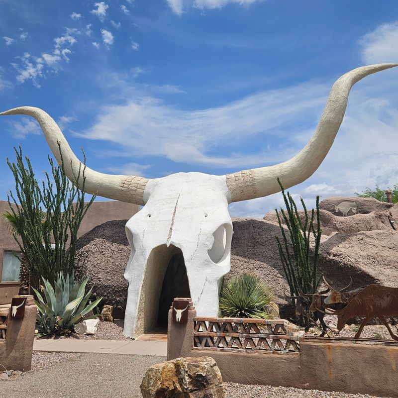 The Iconic Steer Skull Entrance