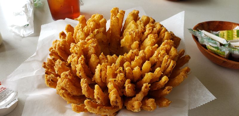 From Road or River: Getting There and Planning Ahead