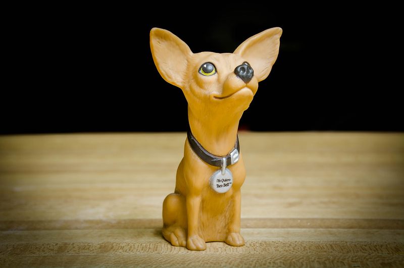 The Taco Bell Chihuahua (Gidget)