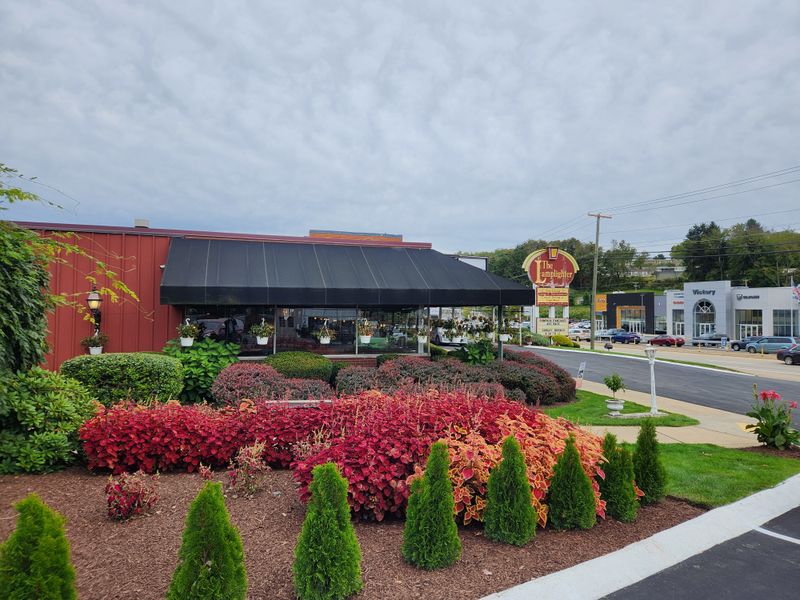 What to Know Before You Go