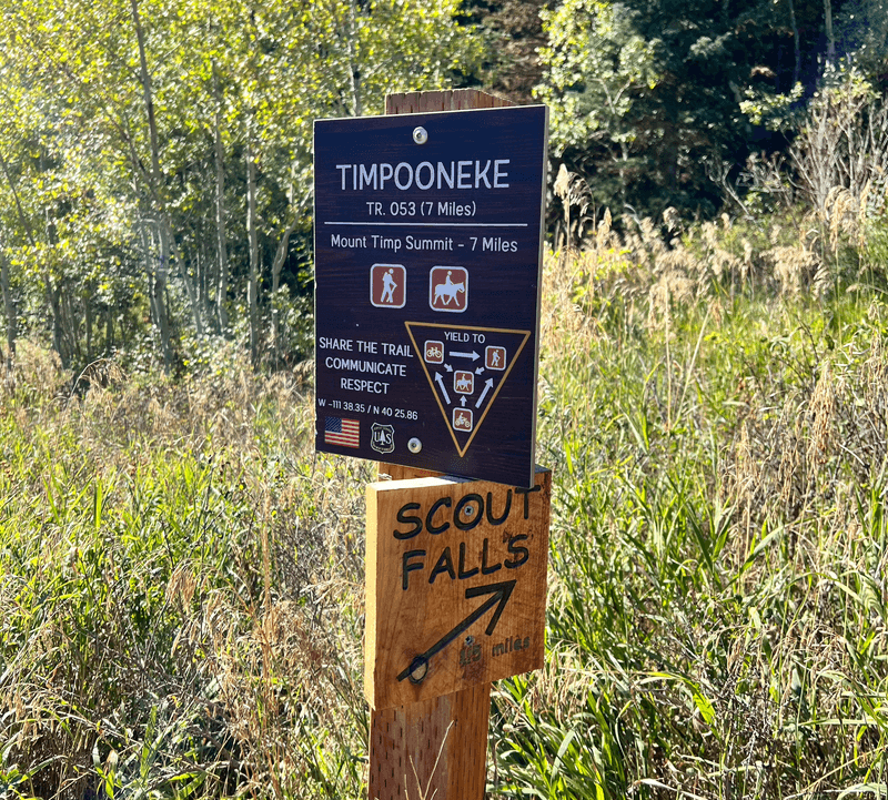 Trail Conditions and Hazards