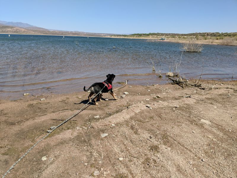 Leave No Trace at the Lake