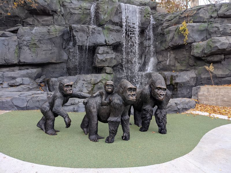 Gorilla Moments and Quiet Observation