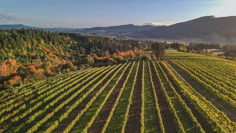 Willamette Valley, Oregon
