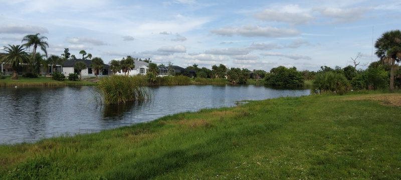 Wildlife Watching at Your Doorstep