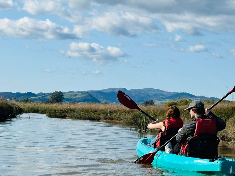 Kayak the Napa River