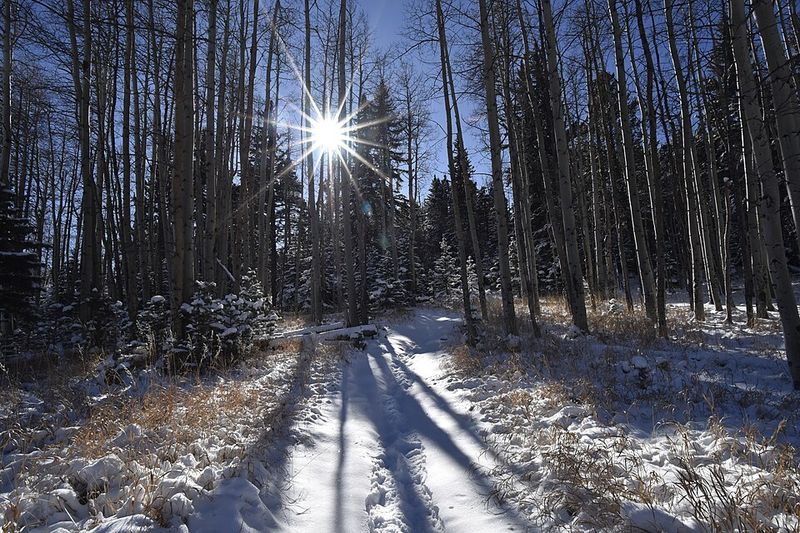 San Isabel National Forest