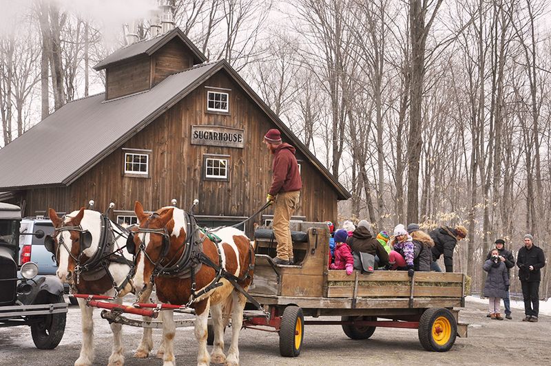 Maple Open House Weekend Statewide