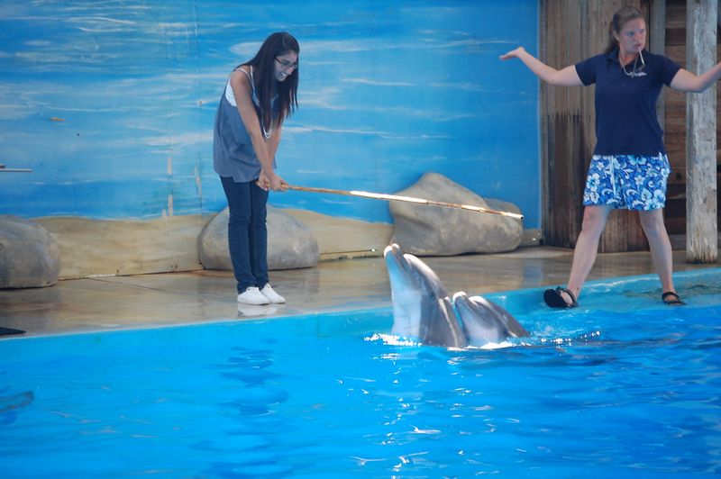 Six Flags Discovery Kingdom (Vallejo, California)