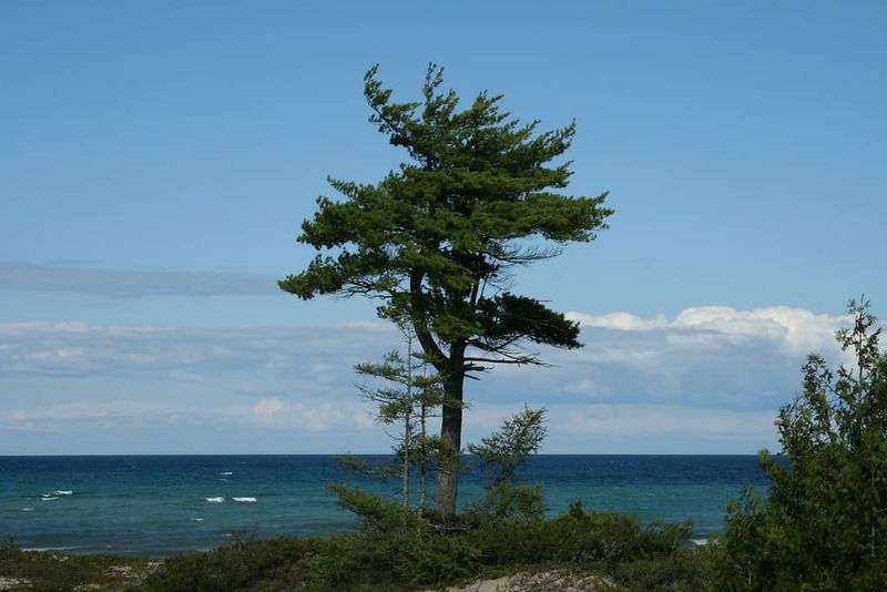 It’s a Best-Kept Secret