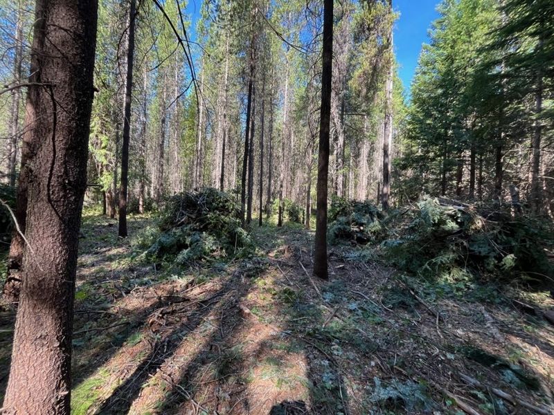 Wildlife Encounters and Safety