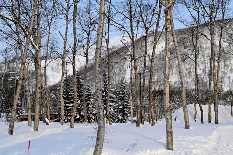 Japan (Hokkaido and North)