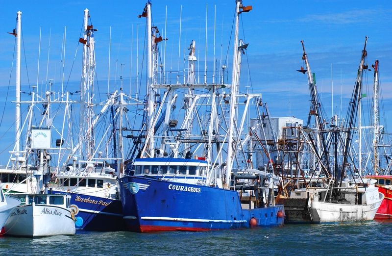 Harbor Heritage and Fresh Catches