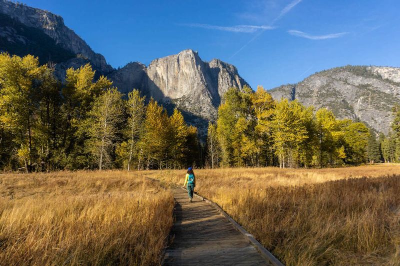 Yosemite National Park