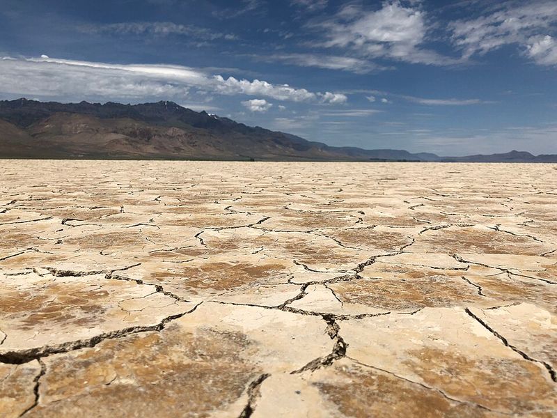 Alvord Desert