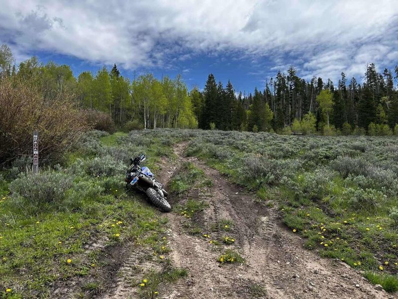 Get Off the Beaten Path