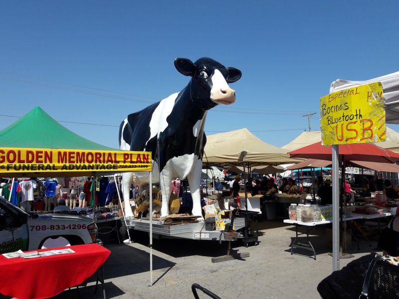 Indoor vs. Outdoor: Navigating the Market Layout