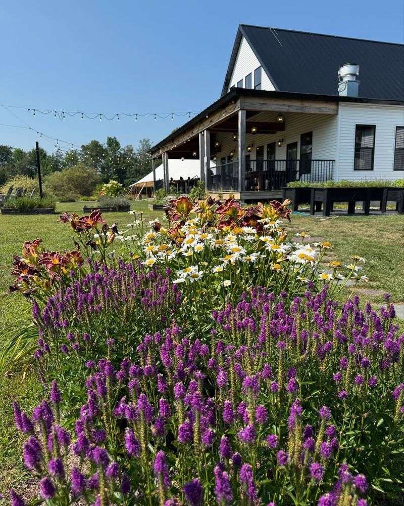 No.10 Eatery at WillowsAwake Winery, Maine