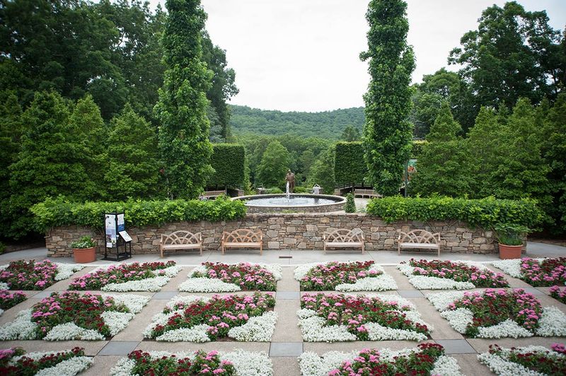 Stroll the Gardens and Trails at the North Carolina Arboretum