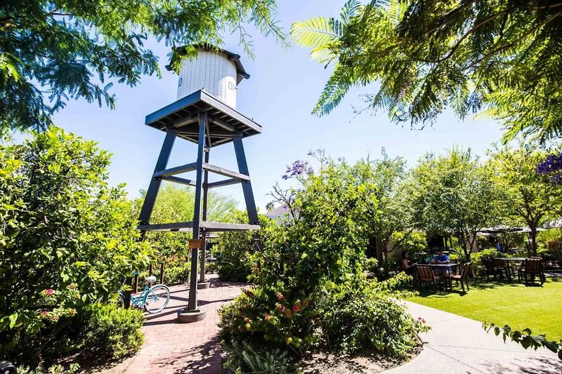 Luci's at the Orchard