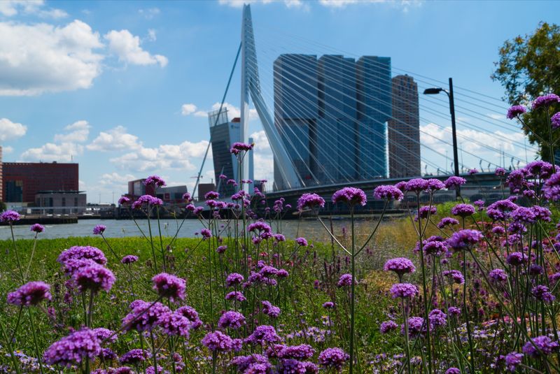 Rotterdam, Netherlands