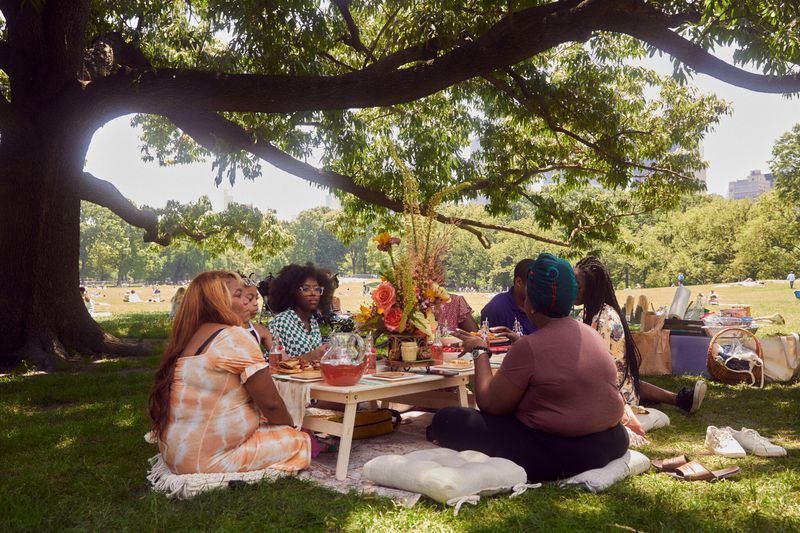 Picnic or Play on the Great Lawn