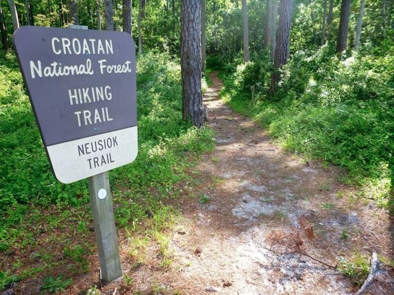 Access to the Croatan National Forest