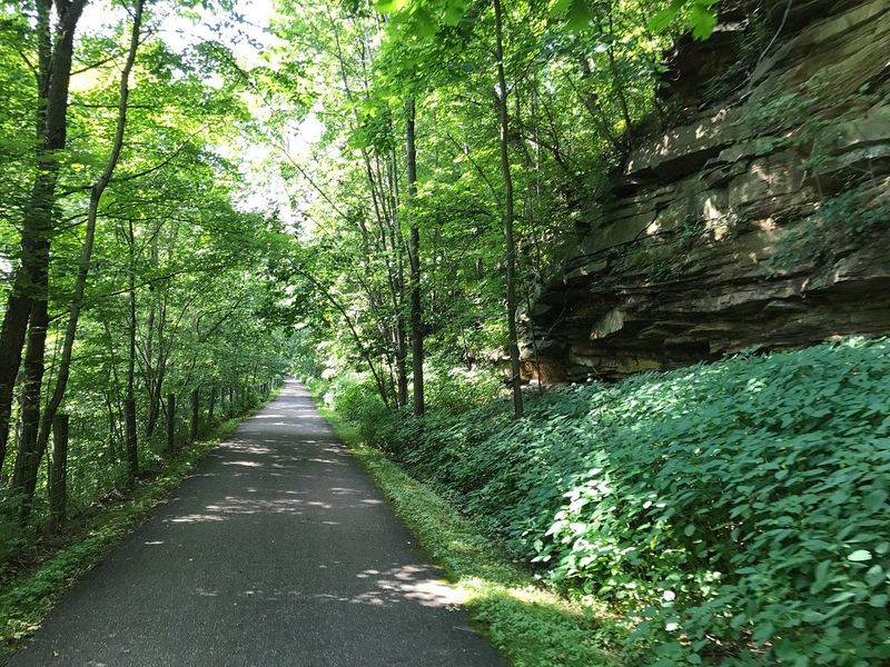 Explore The Greenway Trail