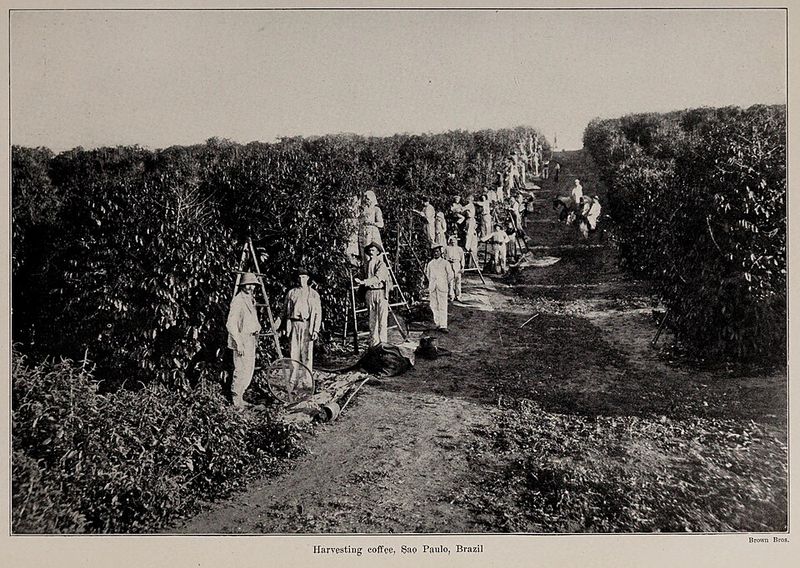 Brazil – The Giant With a Deep Culture