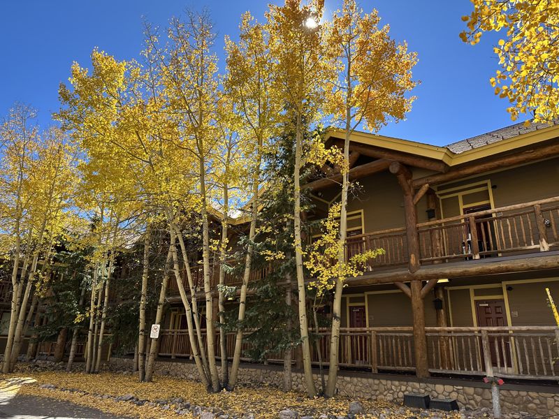 Coffee That Sings in Thin Air