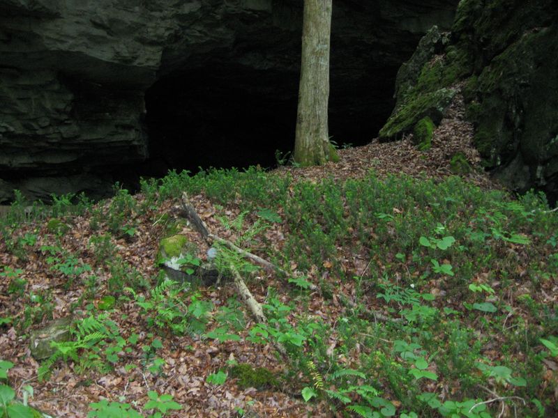 Bat Cave (Carter Caves State Resort Park)