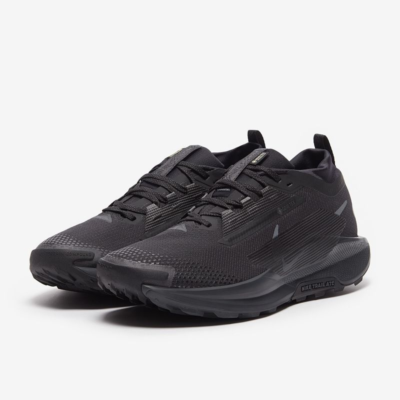 Nike Pegasus Trail 5 GTX