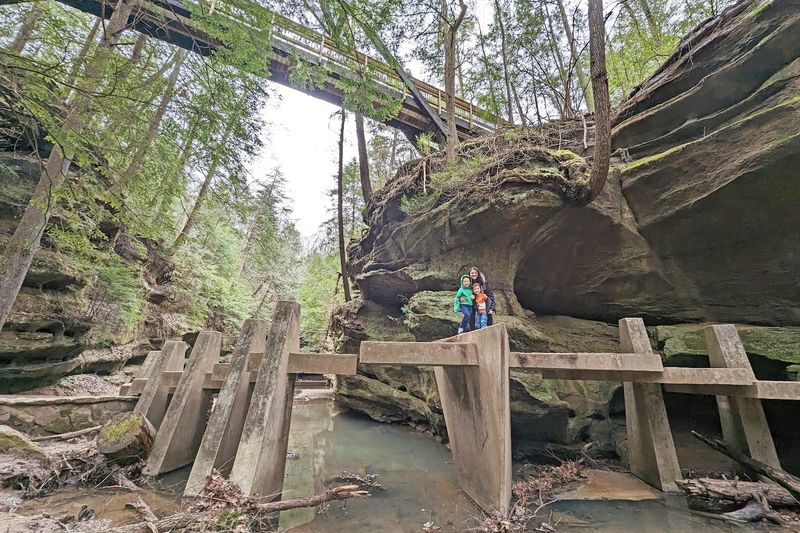 Entry Is Completely Free