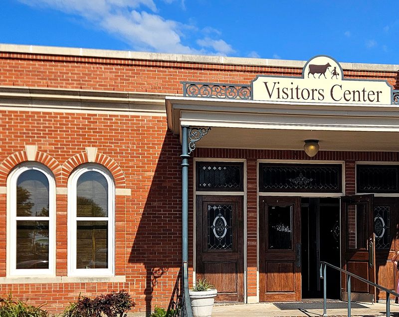 Bluebonnets, History, and Afternoon Adventures