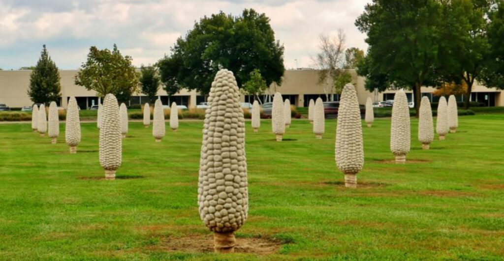 Concrete Ears in a Cornfield: How Dublin’s ‘Field of Corn’ Became a Local Icon