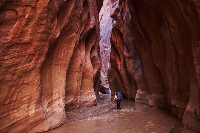 Paria Canyon & Buckskin Gulch, AZ/UT