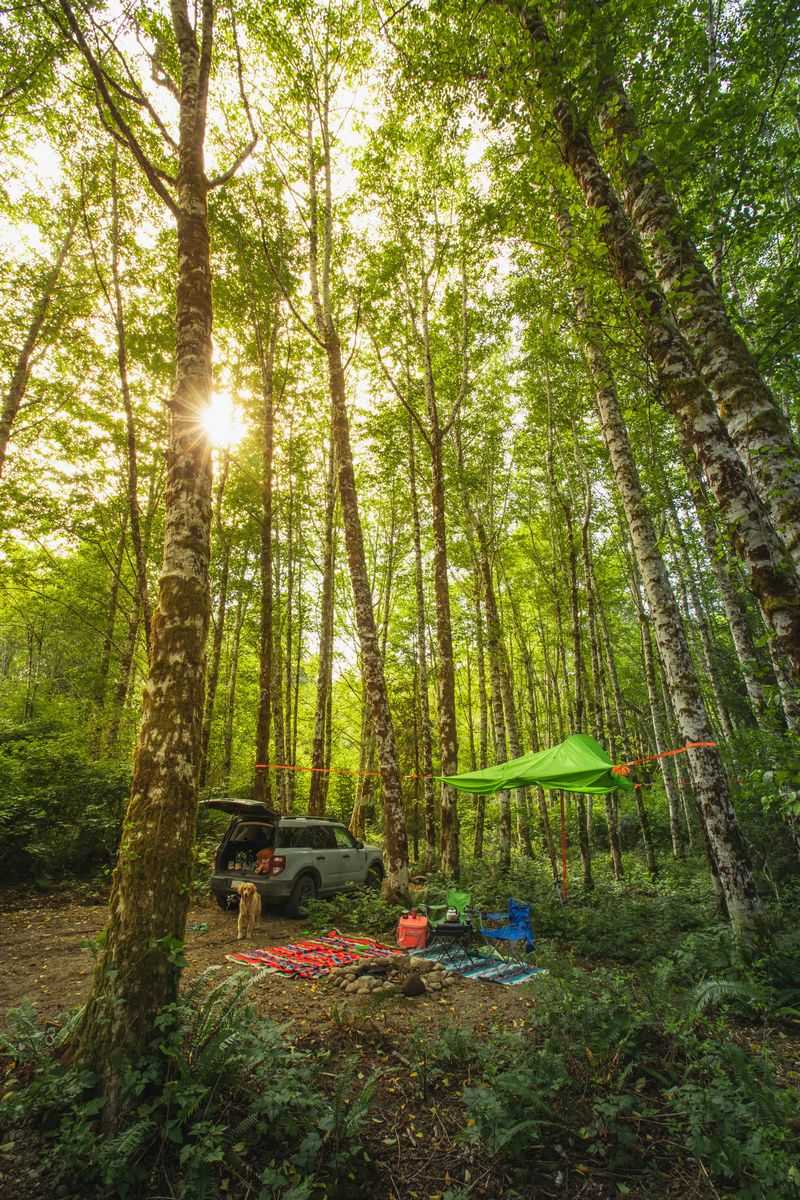 Great for Nature Photography