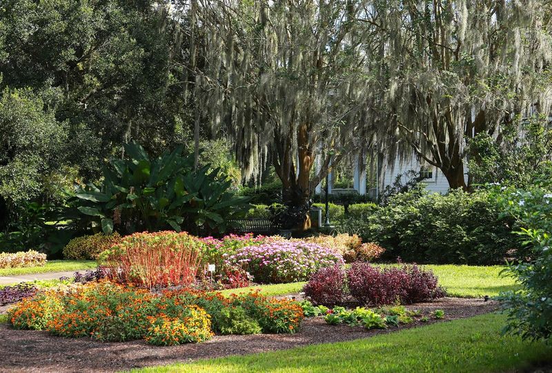 Harry P. Leu Gardens