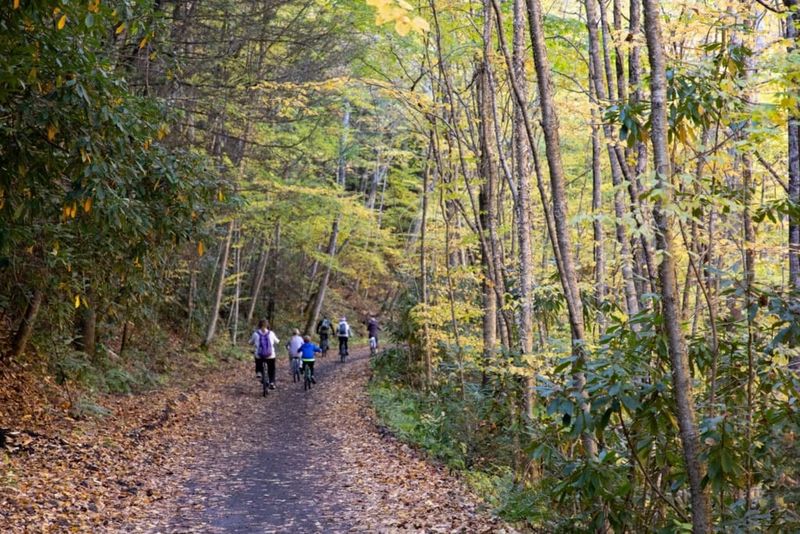 Outdoor Enthusiast’s Paradise