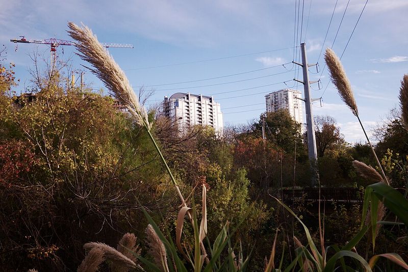 Austin, Texas – Overcrowding and Rising Costs