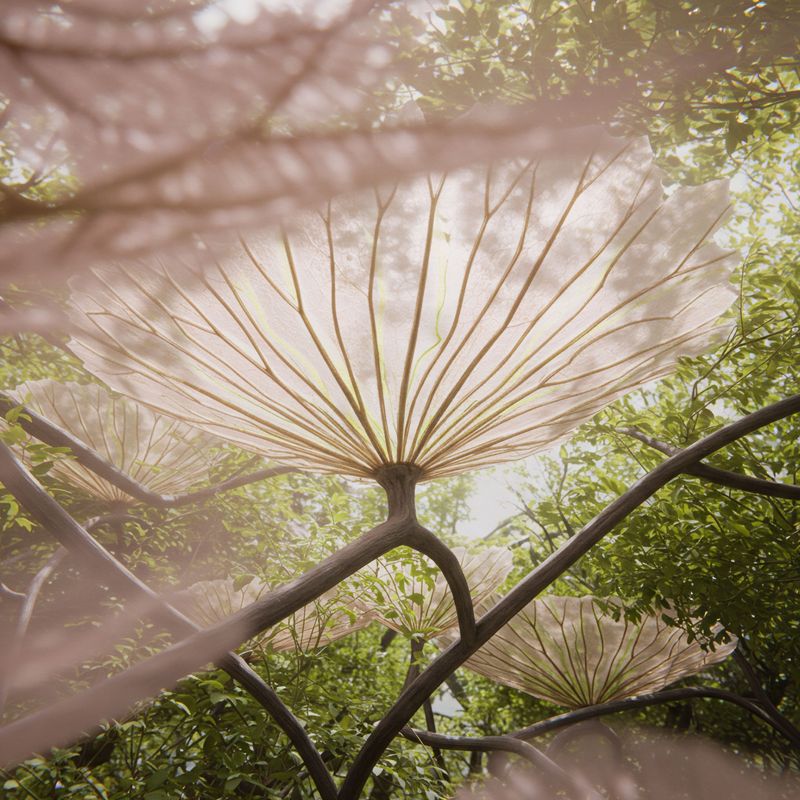 Quality of Life Concerns: Pace, Crowding, Density