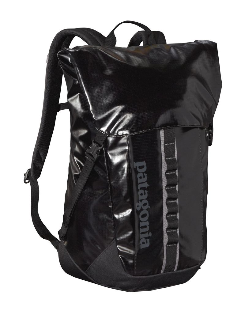 Patagonia Black Hole Pack 32L