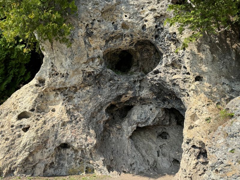 State Park Trails and Quiet Woods