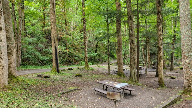 Grills And Easy Cookouts